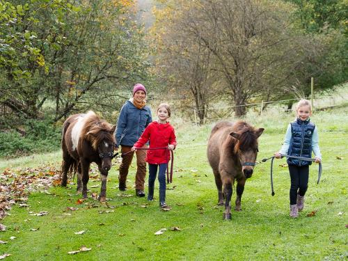 Wir holen gemeinsam unsere Shettys