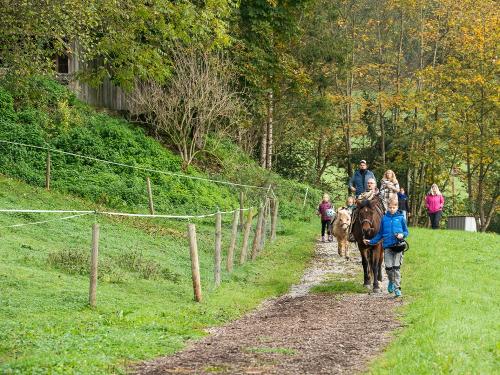 Auf dem Weg zum Reitunterricht