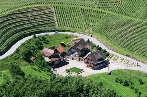 Winzerhof Brandstetter