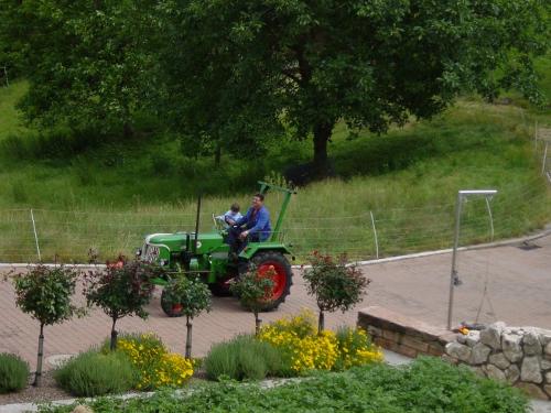 Oldtimer - Fahrten