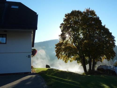 oberhoefenhof_am_morgen