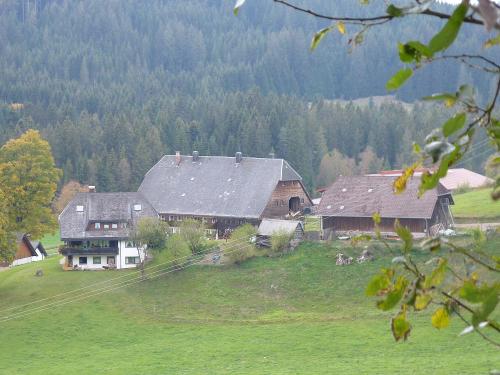 oberhoefenhof_herbststimmung