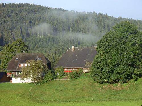 oberhoefenhof_morgennebel