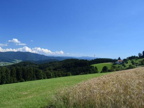 blickvomschillingerberginselztal