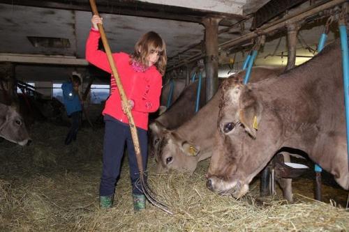 Die Kinder helfen im Stall