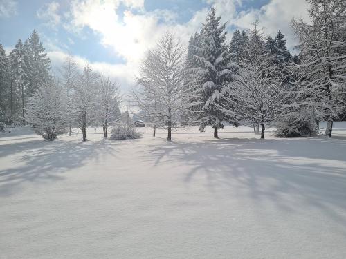 Winter 2026 Ferienhof Eberle Ofterschwang  14