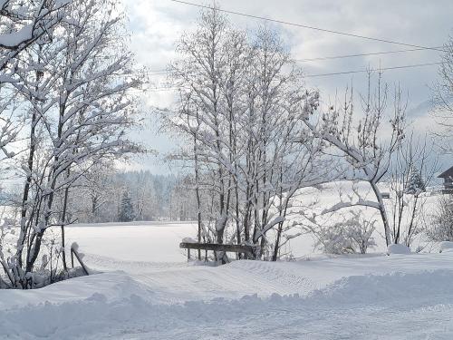 Winter 2026 Ferienhof Eberle Ofterschwang  7