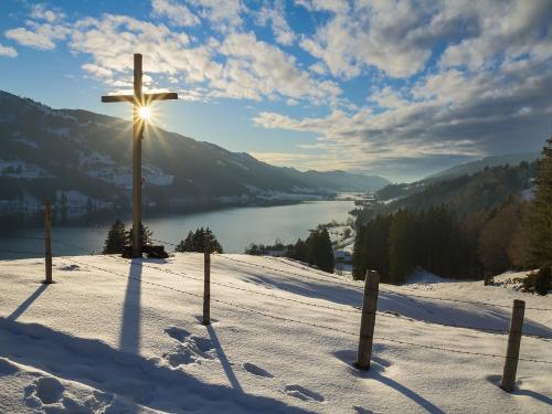 Blick auf unseren schönen Alpsee