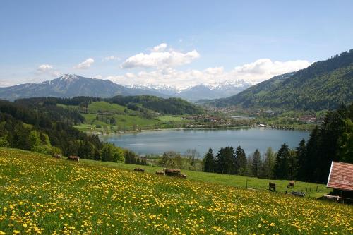 Alpseeblick