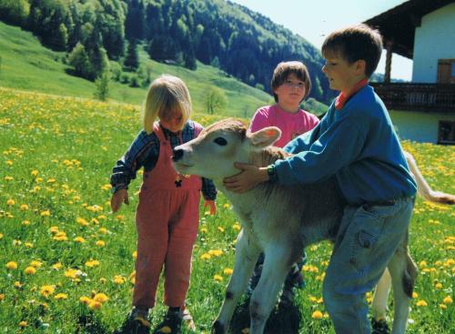 Kinder mit Kälbchen