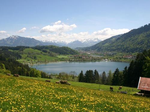 Alpseeblick
