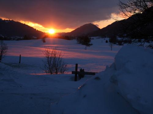 Blick aus Saunalandschaft