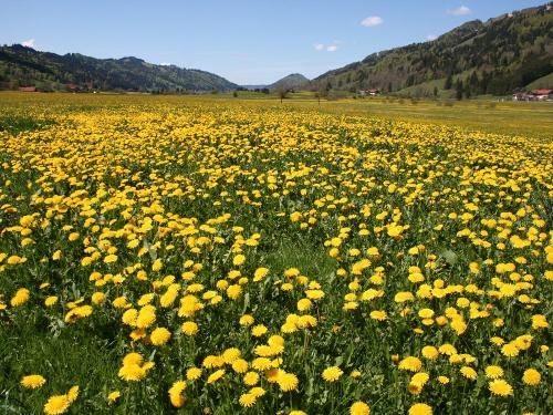 Blick aus unserer Saunalandschaft