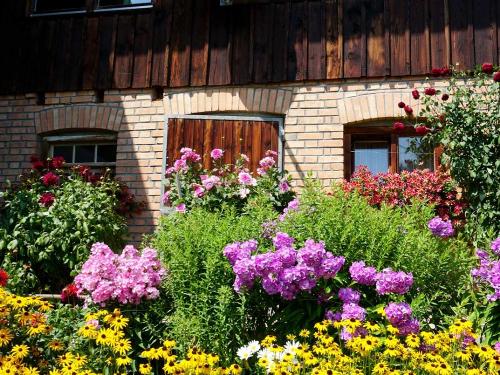 Blumenpracht