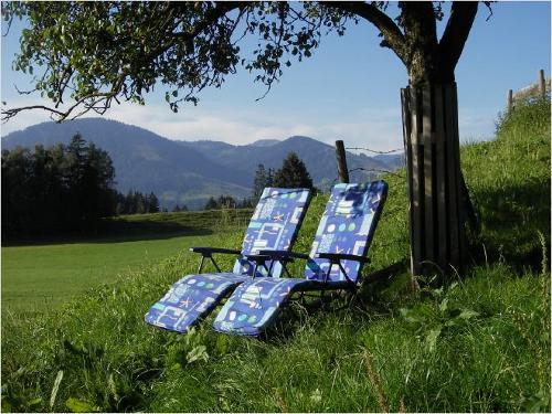 Relaxen im Garten