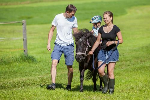 Ponyreiten mit Pony 'Lissy'