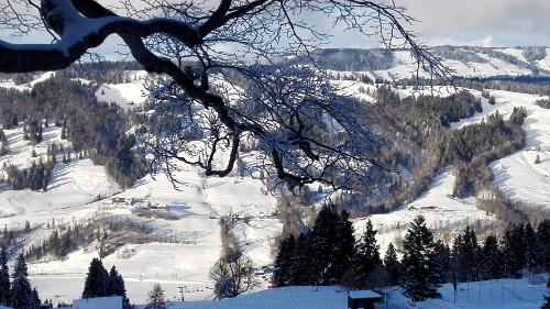 Winterlandschaft