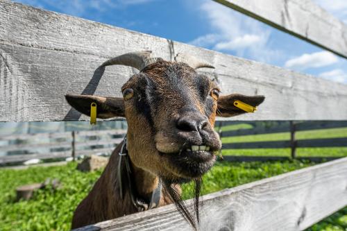 benjamin_zapf_fotografie_50