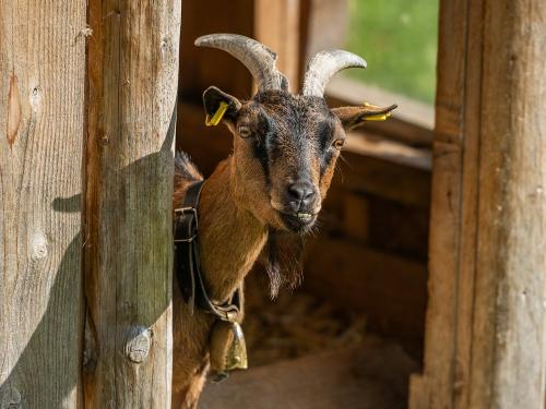 benjamin_zapf_fotografie_52