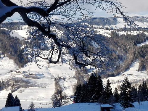 Winterlandschaft