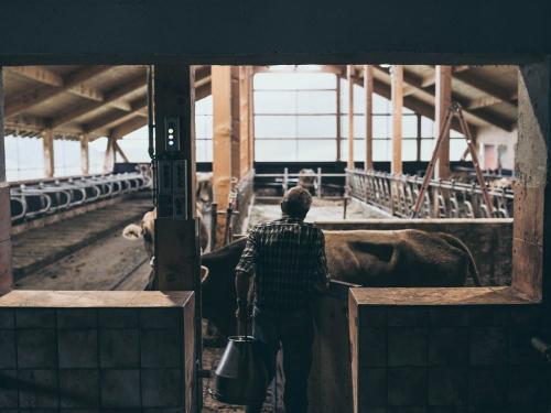 Stefan auf dem Weg in den Stall