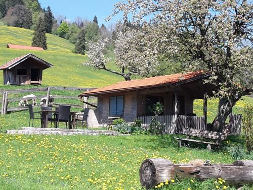 Das Gartenhaus mit Terasse