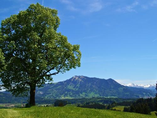Blick auf den Grünten Blick auf den Grünten