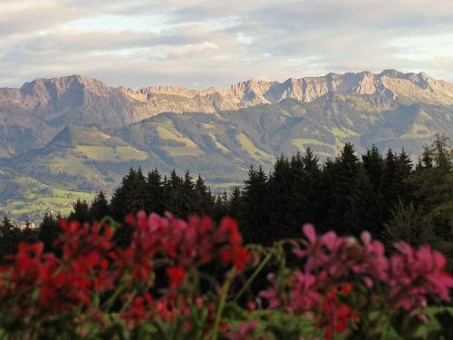 Panoramablick Panoramablick