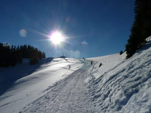 Rodelbahn vom Mittagberg