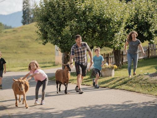 Schafe und Ziegen eintreiben