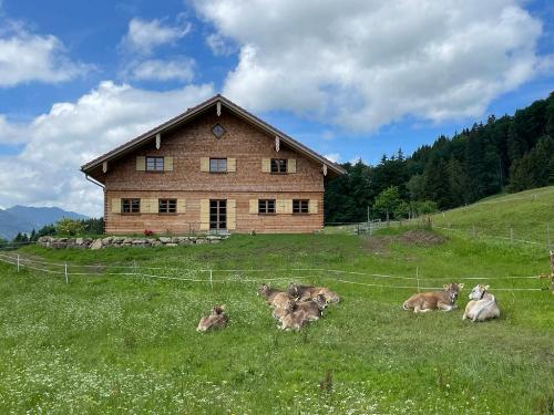 Alpe Hinterschwand