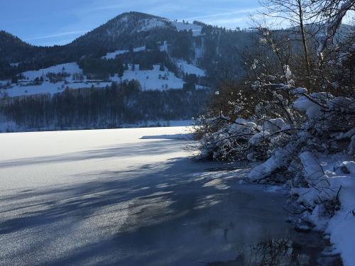 See Winter