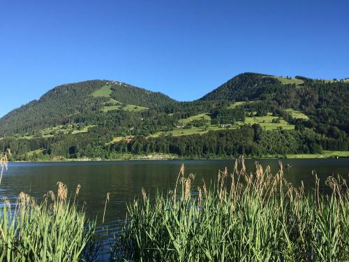 Alpsee