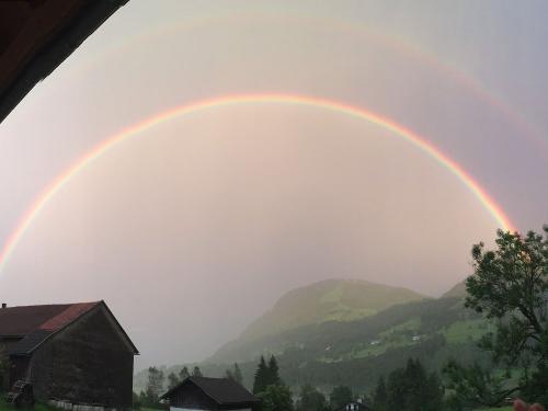 Regenbogen