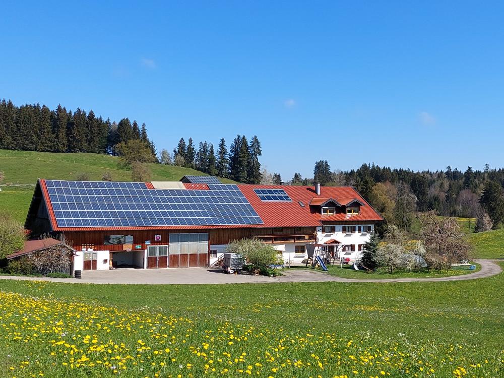 Der Hof
