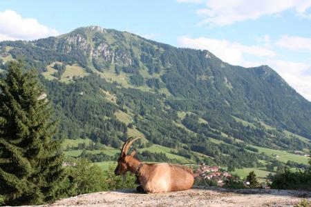 den Urlaub genießen