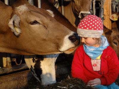 Tiere hautnah erleben