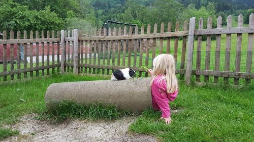 Unser Gästekind bei den Meerschweinchen