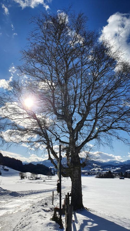 Winterzauber im Allgäu