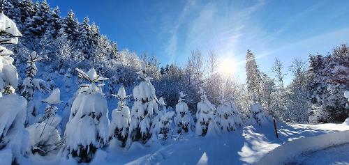 Winterzauber im Allgäu - Im Hasengarten