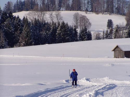Aktiv im Winter