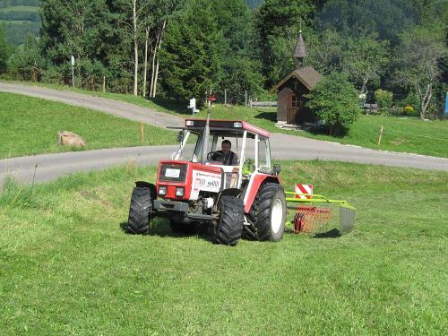 Bauernhoferlebnis im Sommer