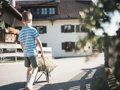 Beim Bergbauern Zeller_wenn Kinder mithelfen dürfen