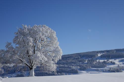 AUSBLICK VON DER FEWO