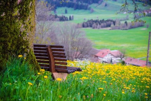 NIMM PLATZ UND GENIEß DIE AUSSICHT