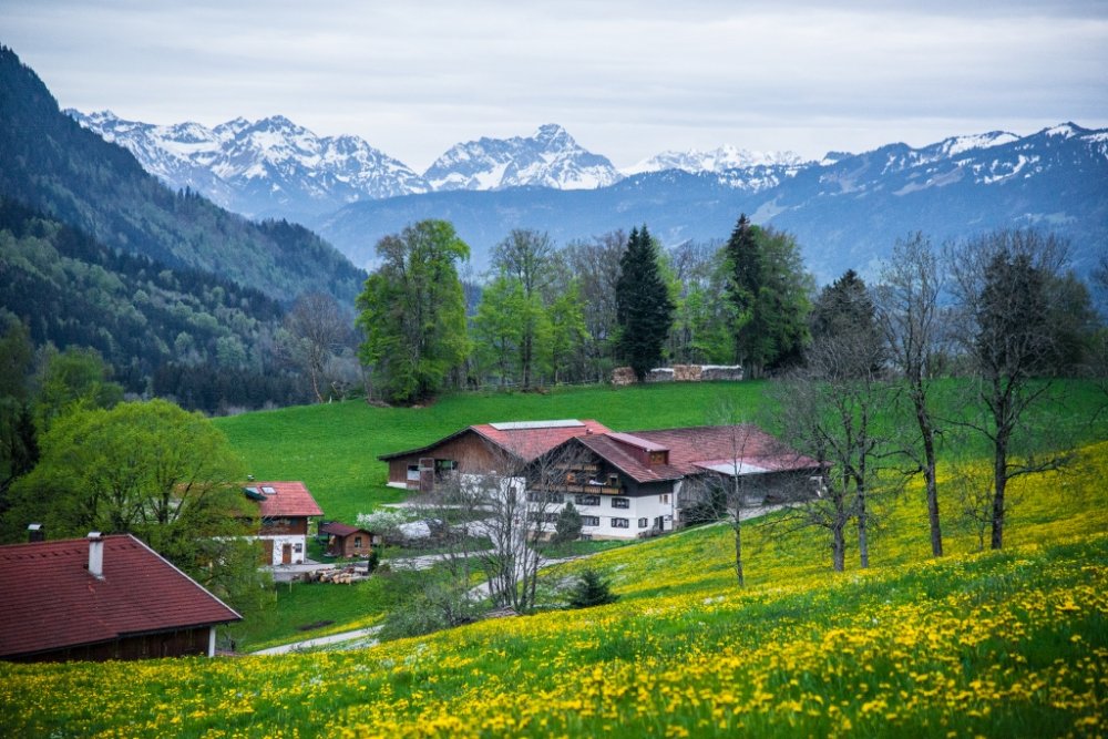 HIER BIN ICH MENSCH HIER BIN ICH MENSCH