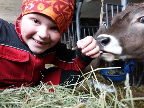 BAUERNHOFERLEBNISS PUR BAUERNHOFERLEBNISS PUR