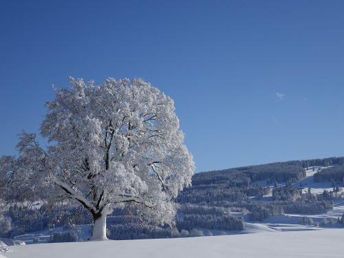 AUSBLICK VON DER FEWO AUSBLICK VON DER FEWO