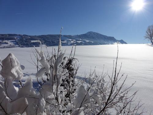 WINTERSTIMMUNG WINTERSTIMMUNG