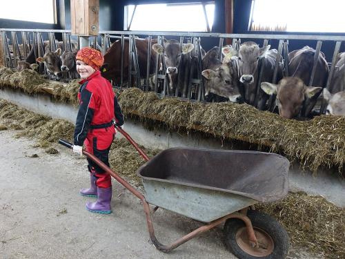 MITHILFE BEI DER STALLARBEIT MITHILFE BEI DER STALLARBEIT